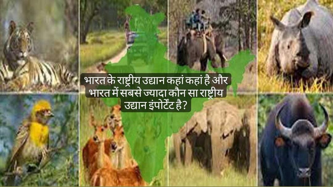 Major National Parks and Sanctuaries of India