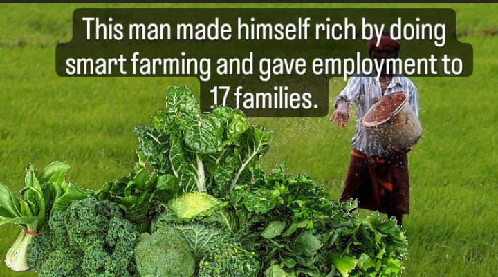 Camp: By cultivating vegetables, this farmer made himself rich and provided employment to 17 familie