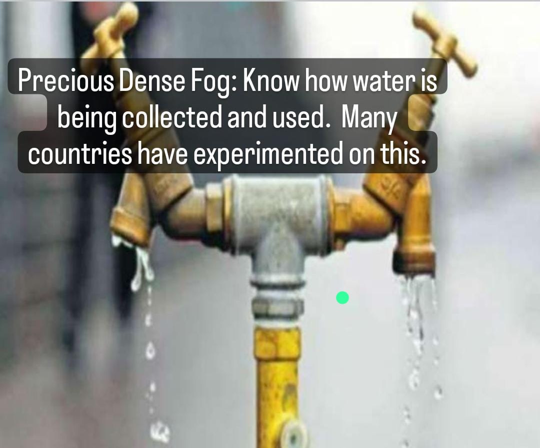 Precious Fog: More than 20 countries made water from fog