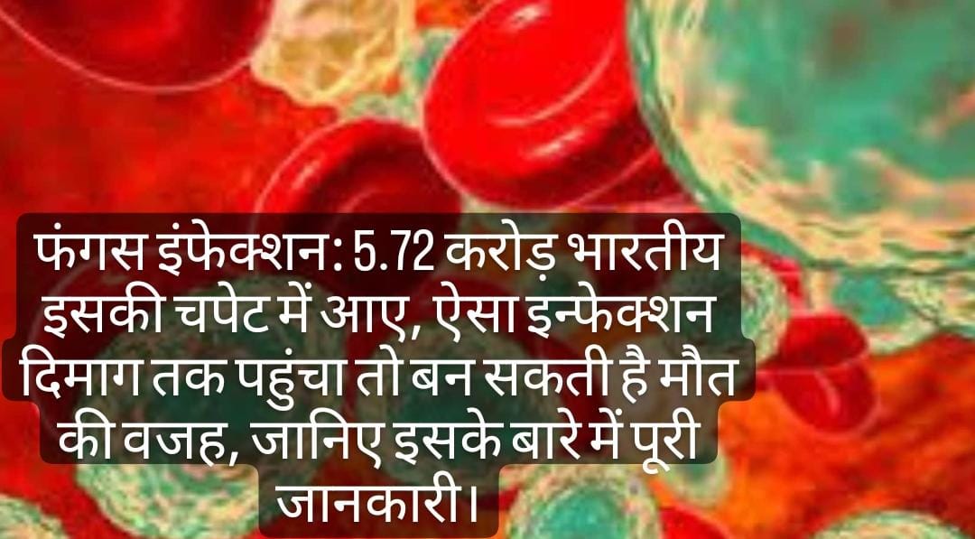 फंगस इंफेक्शन अलर्ट: फंगस इंफेक्शन ऐसा बीमारी जो दिमाग तक पहुंची तो