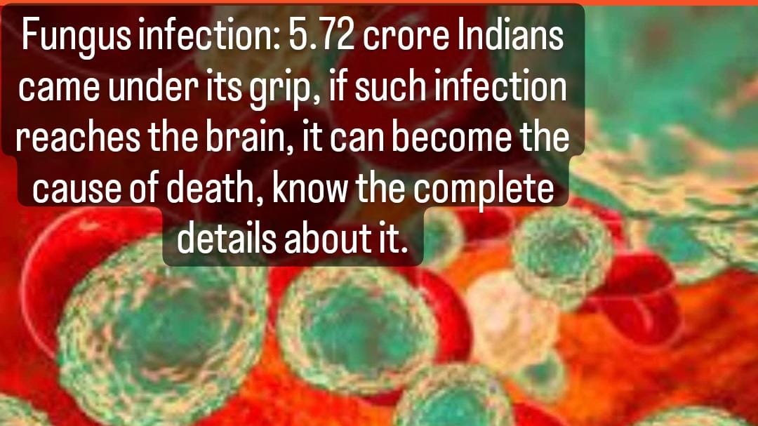 Fungus Infection Alert: Fungus infection is such a disease that if it reaches the brain