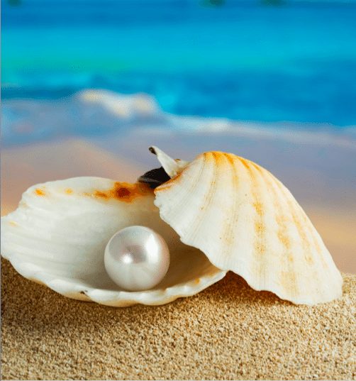 Shilpkesh: How Shipla is made, what is its cost, know what is this beautiful looking pearl.