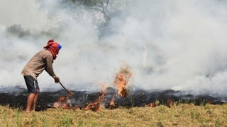 Parali News: Danger is increasing due to stubble smoke, farmers can increase fertilizer to save live